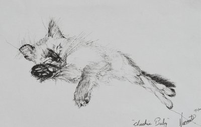 Kitty 